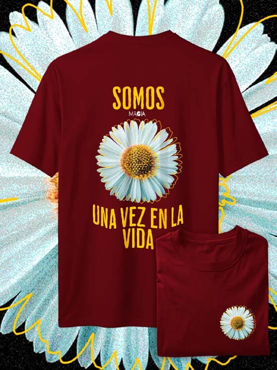 Somos Una Vez En La Vida — EU-ANIME-1153